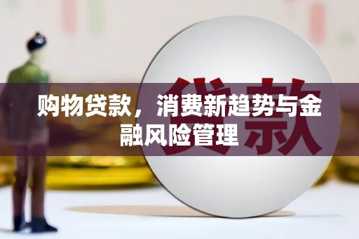 东方购物贷款，消费新趋势与金融风险管理
