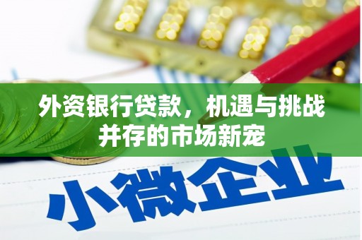 东方外资银行贷款，机遇与挑战并存的市场新宠