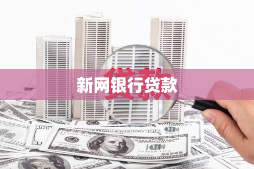 东方新网银行贷款