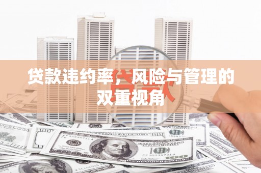 东方贷款违约率，风险与管理的双重视角