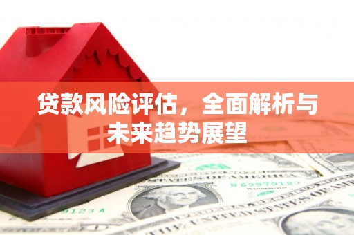 东方贷款风险评估，全面解析与未来趋势展望