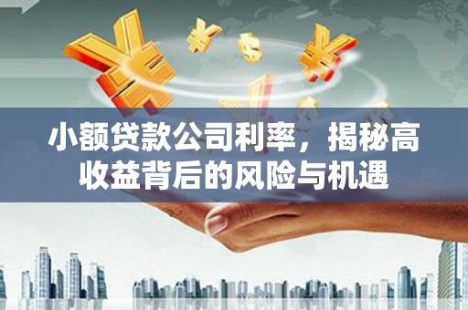 东方小额贷款公司利率，揭秘高收益背后的风险与机遇