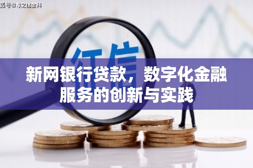 东方新网银行贷款，数字化金融服务的创新与实践