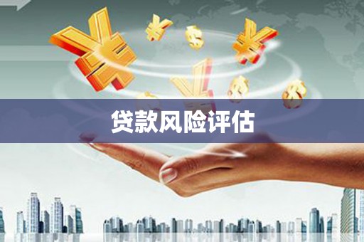 东方贷款风险评估