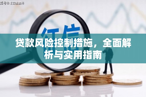 东方贷款风险控制措施，全面解析与实用指南