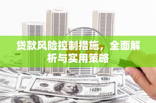 东方贷款风险控制措施，全面解析与实用策略