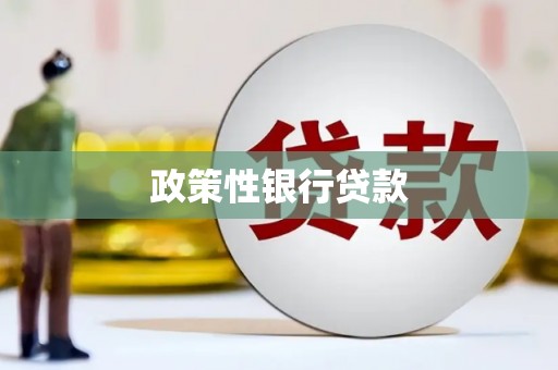 东方政策性银行贷款