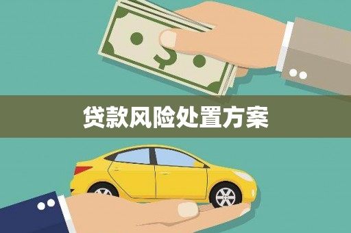东方贷款风险处置方案