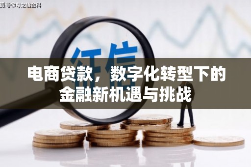 东方电商贷款，数字化转型下的金融新机遇与挑战