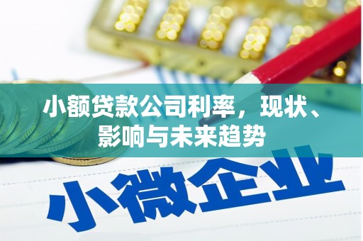 东方小额贷款公司利率，现状、影响与未来趋势