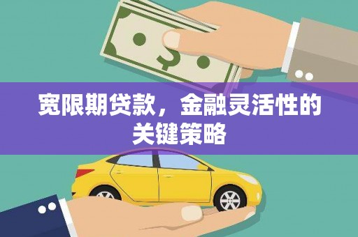 东方宽限期贷款，金融灵活性的关键策略
