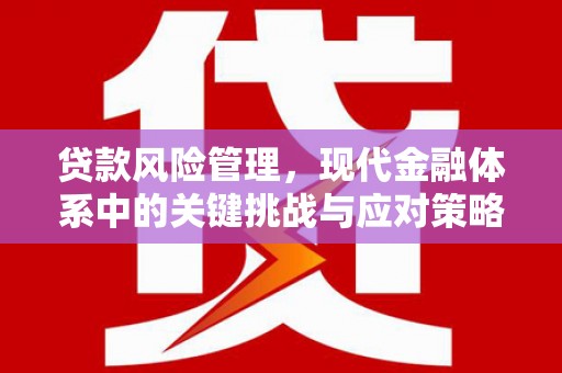 东方贷款风险管理，现代金融体系中的关键挑战与应对策略