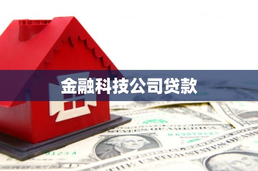 东方金融科技公司贷款