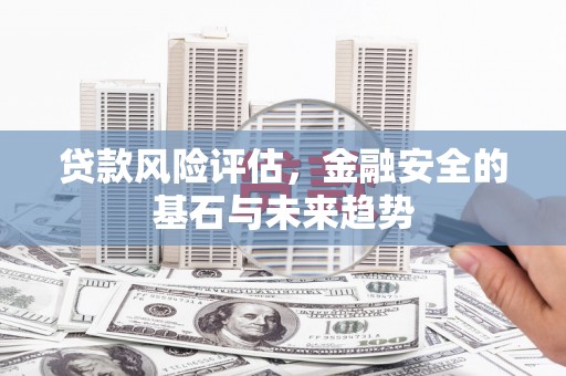 东方贷款风险评估，金融安全的基石与未来趋势