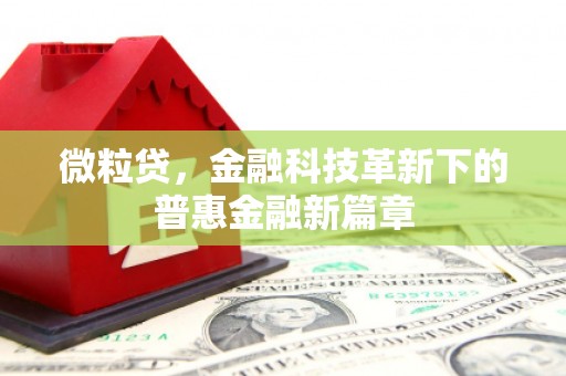 东方微粒贷，金融科技革新下的普惠金融新篇章