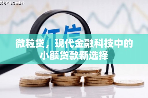 东方微粒贷，现代金融科技中的小额贷款新选择