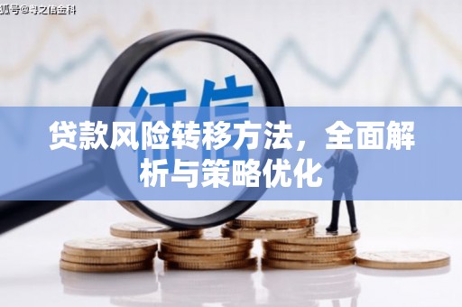 东方贷款风险转移方法，全面解析与策略优化