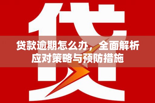 东方贷款逾期怎么办，全面解析应对策略与预防措施