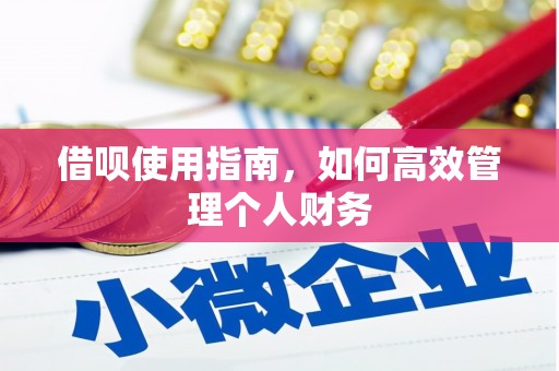 东方借呗使用指南，如何高效管理个人财务