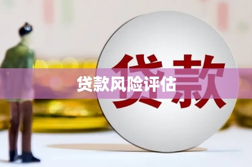 东方贷款风险评估