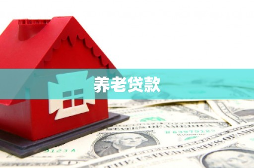 东方养老贷款