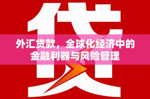 东方外汇贷款，全球化经济中的金融利器与风险管理