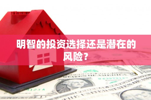 东方明智的投资选择还是潜在的风险？