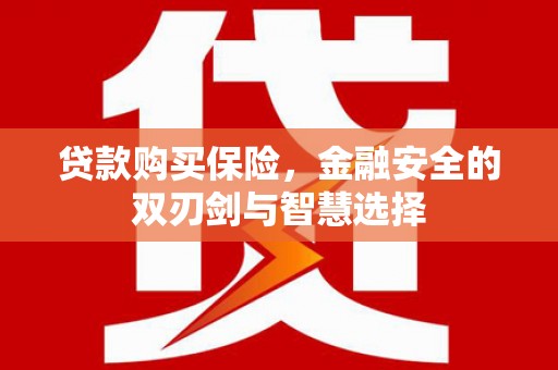 东方贷款购买保险，金融安全的双刃剑与智慧选择
