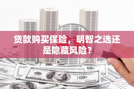 东方贷款购买保险，明智之选还是隐藏风险？
