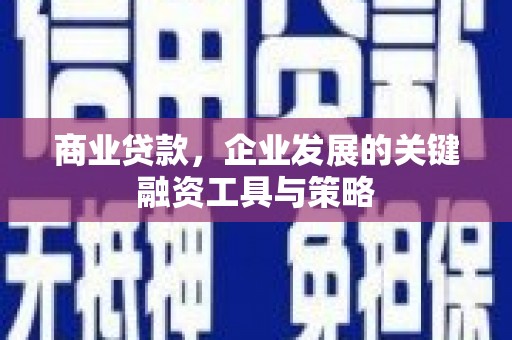 东方商业贷款，企业发展的关键融资工具与策略