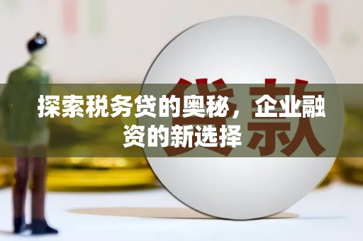 东方探索税务贷的奥秘，企业融资的新选择