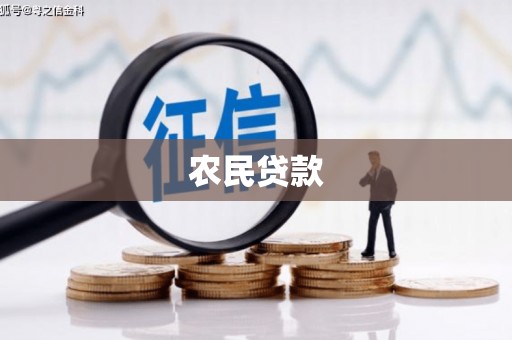 东方农民贷款
