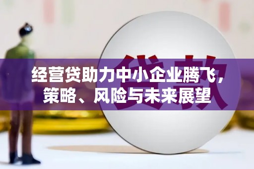 东方经营贷助力中小企业腾飞，策略、风险与未来展望