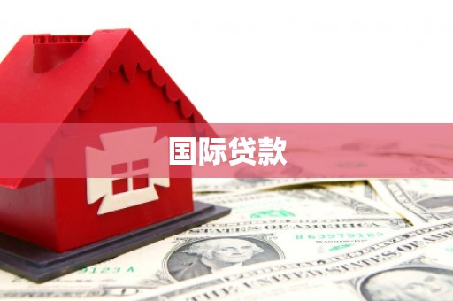 东方国际贷款