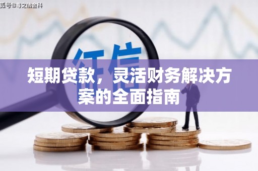 东方短期贷款，灵活财务解决方案的全面指南