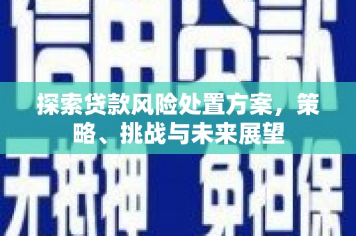 东方探索贷款风险处置方案，策略、挑战与未来展望