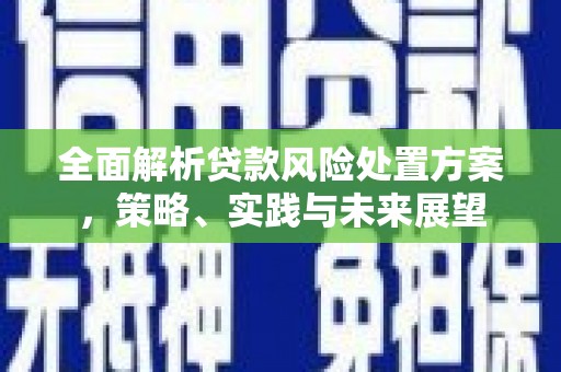 东方全面解析贷款风险处置方案，策略、实践与未来展望
