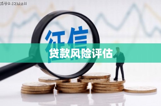 东方贷款风险评估