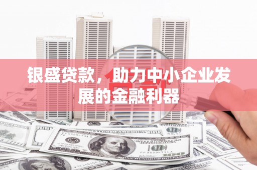 东方银盛贷款，助力中小企业发展的金融利器