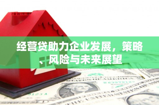 东方经营贷助力企业发展，策略、风险与未来展望