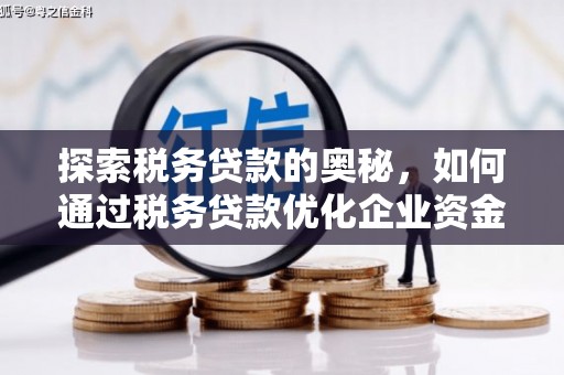 东方探索税务贷款的奥秘，如何通过税务贷款优化企业资金流