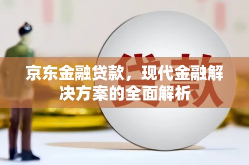 东方京东金融贷款，现代金融解决方案的全面解析