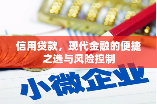 东方信用贷款，现代金融的便捷之选与风险控制