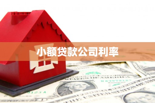 东方小额贷款公司利率