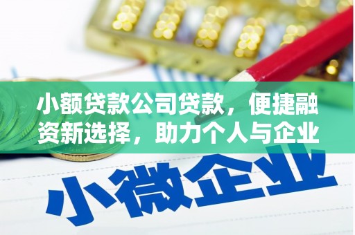 东方小额贷款公司贷款，便捷融资新选择，助力个人与企业成长