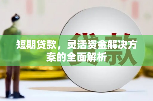 东方短期贷款，灵活资金解决方案的全面解析