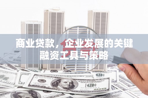 东方商业贷款，企业发展的关键融资工具与策略