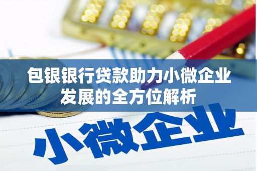 东方包银银行贷款助力小微企业发展的全方位解析