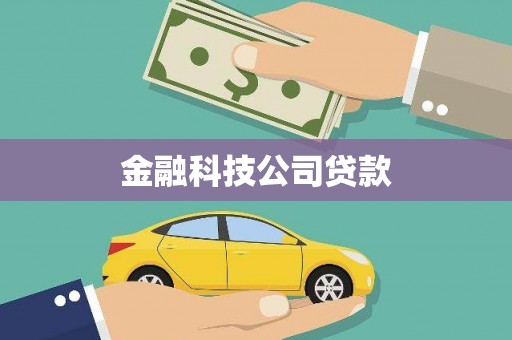 东方金融科技公司贷款