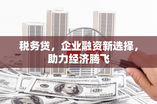 东方税务贷，企业融资新选择，助力经济腾飞